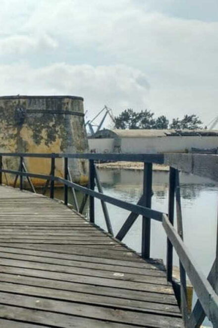 Veracruz: Chachalacas Dunes and Beach ATV Adventure - Indulging in Local Gastronomy