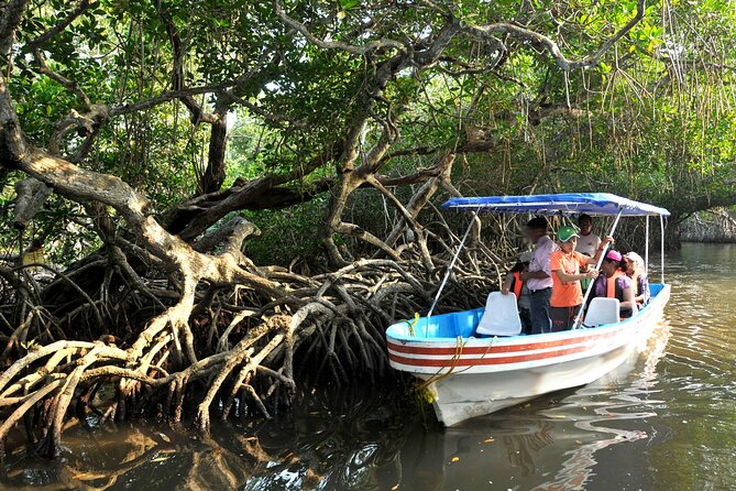 Veracruz City Tour With San Juan De Ulúa and Mandinga Boat - Tour Highlights