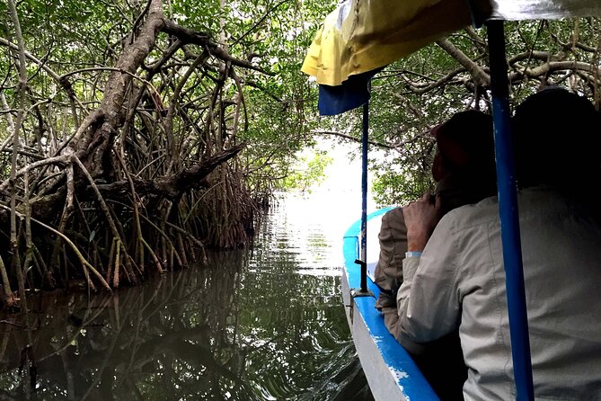 Veracruz City Tour With San Juan De Ulúa and Mandinga Boat - Common Questions