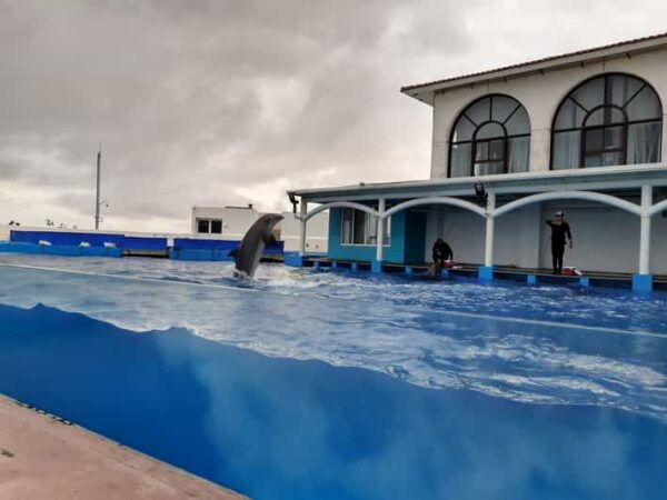 Veracruz: Guided City Tour With Ulua + Aquarium Visit - What to Bring