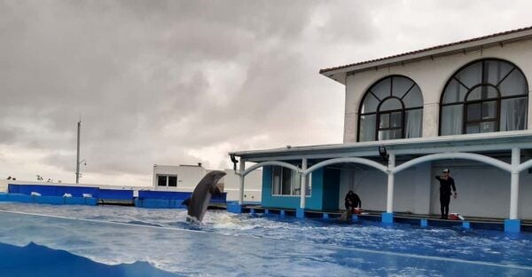 Veracruz: Guided City Tour With Ulua + Aquarium Visit - Frequently Asked Questions