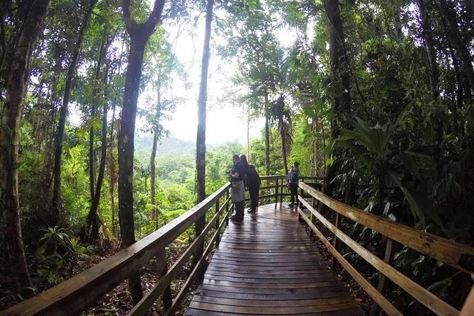 Veragua Rainforest Walk, Tram & Tortuguero Boat Tour. Limon Shore Excursion - Pickup Details