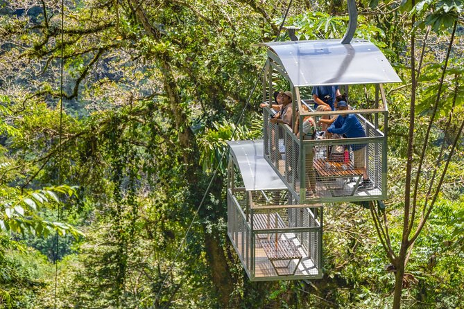 Veragua Rainforest Walk, Tram & Tortuguero Boat Tour. Limon Shore Excursion - Traveler Feedback