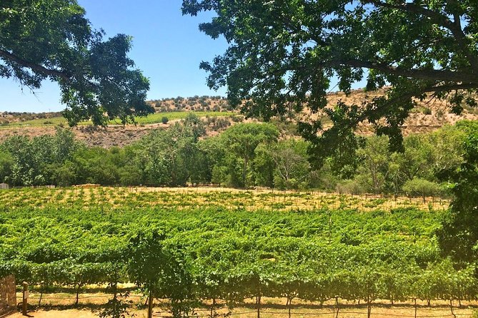 Verde Valley Wine Tour From Sedona in Luxury Vehicle - Traveler Information and Reviews