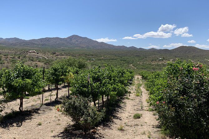 Verde Valley Wineries and Sedona Red Rocks Private Day Tour - FAQ