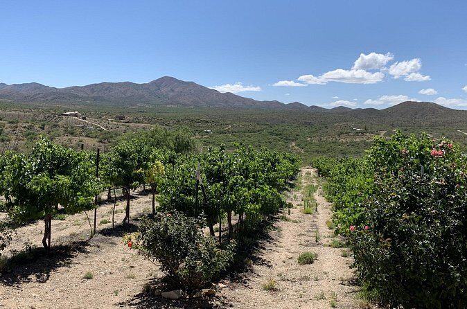 Verde Valley Wineries and Sedona Red Rocks Private Day Tour - Final Thoughts
