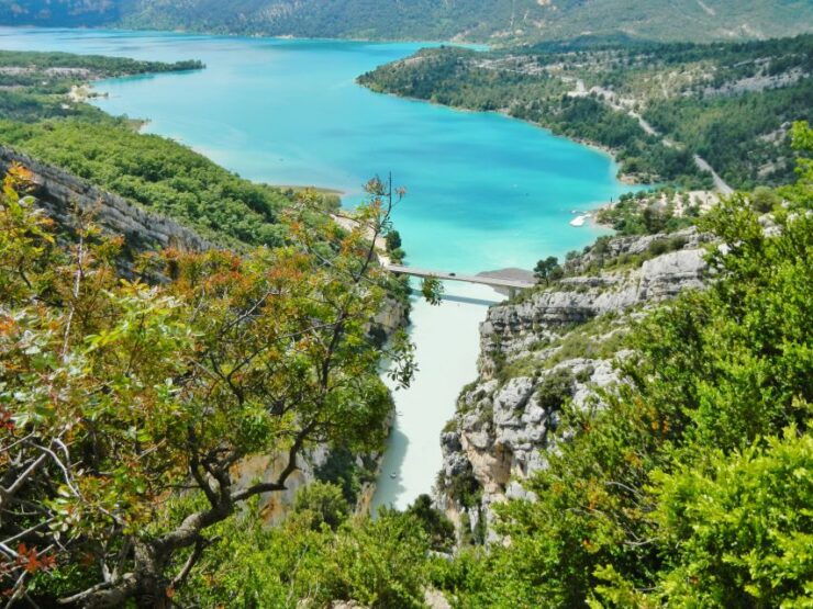 Verdon Gorge and Truffle Hunting - Unforgettable Truffle Hunting Experience