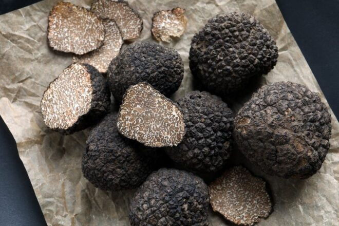 Verdon Gorge and Truffle Hunting - Common Questions