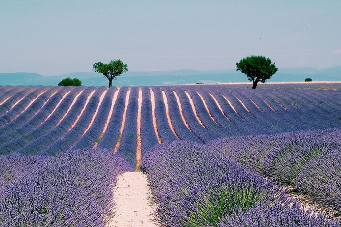 Verdon Gorge: the Grand Canyon of Europe, Lake and Lavender - Planning Your Verdon Gorge Itinerary