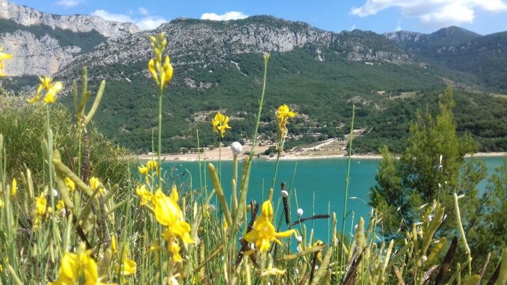 Verdon Gorge: the Grand Canyon of Europe, Lake and Lavender - Booking and Cancellation