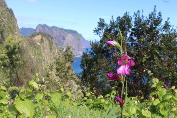 Vereda Do Larano - Full Day Hike - The Sum Up
