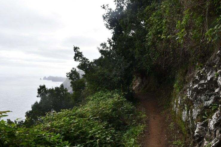 Vereda Do Larano (Larano Hike) by Overland Madeira - Booking Information