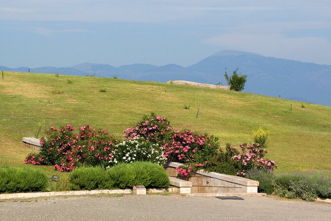 Vergina and Veria Full-Day Tour From Thessaloniki - Sites to Visit