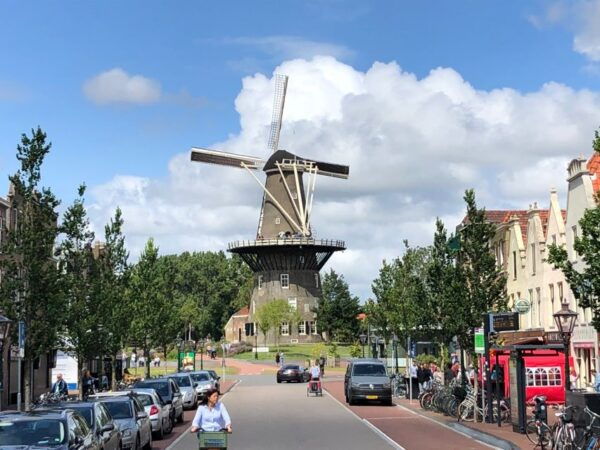 Vermeer's Girl With the Pearl Earring & Rembrandt's Leiden - The Sum Up