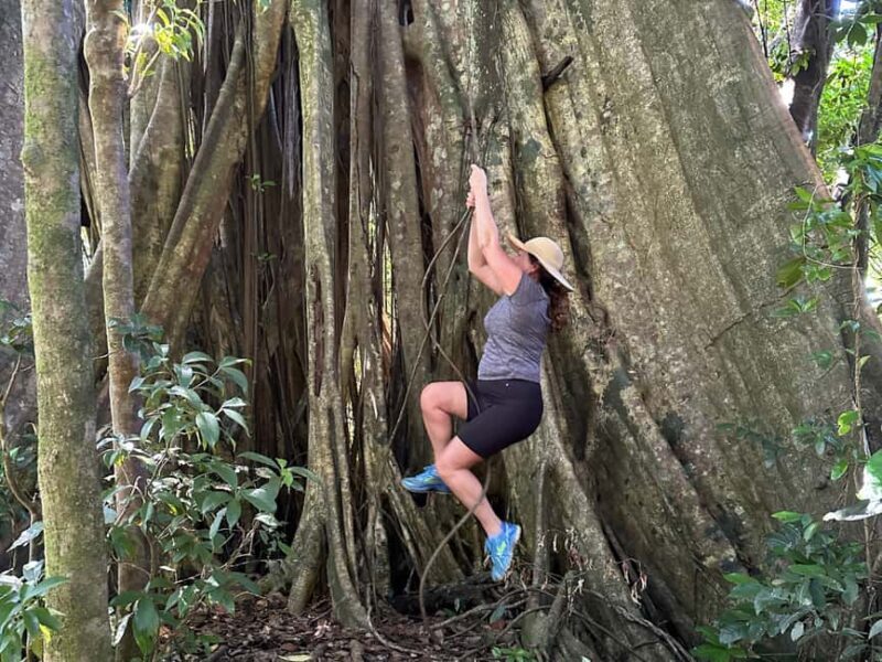 Vermont Nature Trail and Bird Watching Tour - Practical Details: What You Need to Know