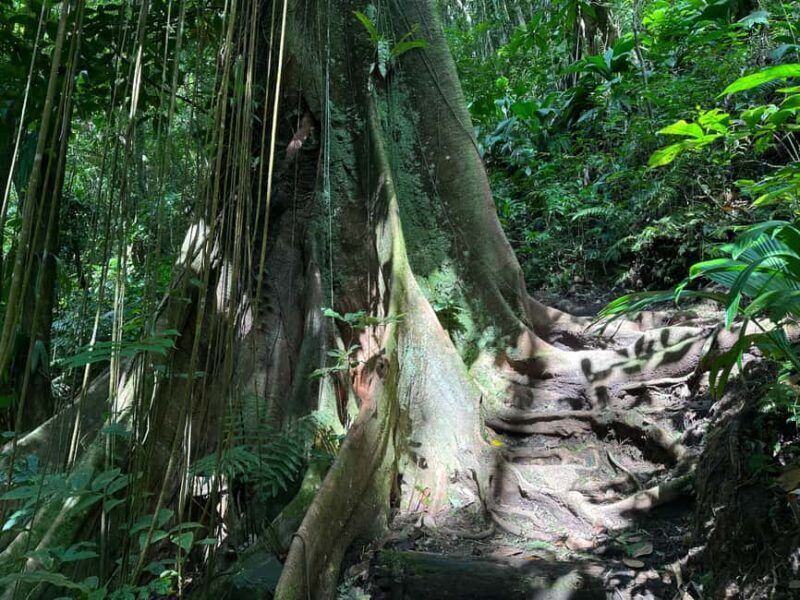 Vermont Nature Trail and Bird Watching Tour - Who Will Love This Tour?