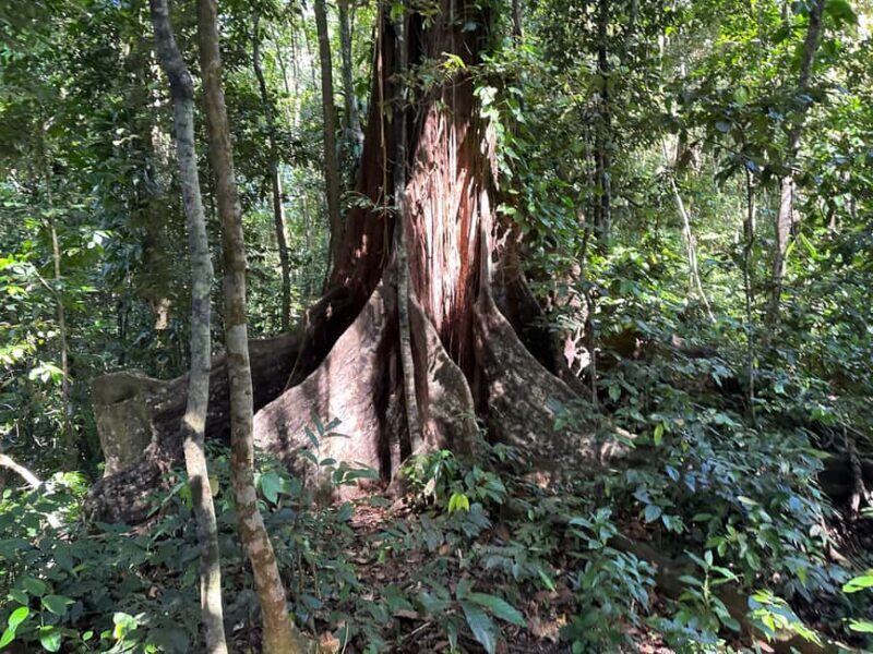 Vermont Nature Trail and Bird Watching Tour - Final Thoughts