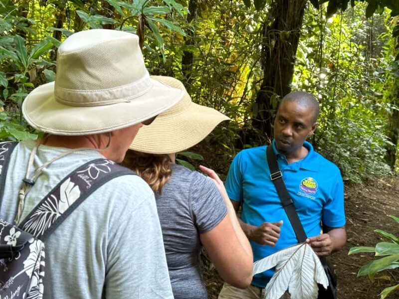 Vermont Nature Trail and Bird Watching Tour - FAQ