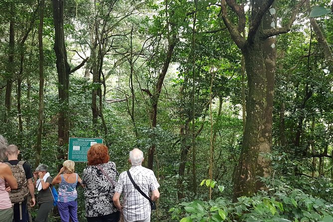 Vermont Nature Trail Hike - Trail Overview