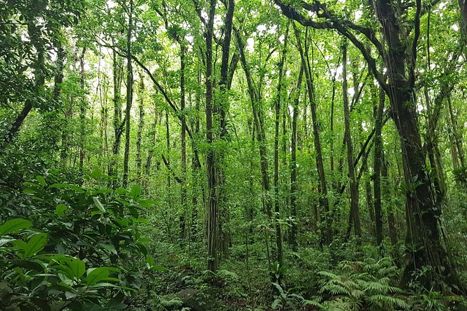 Vermont Nature Trail Hike - Trail Difficulty Level