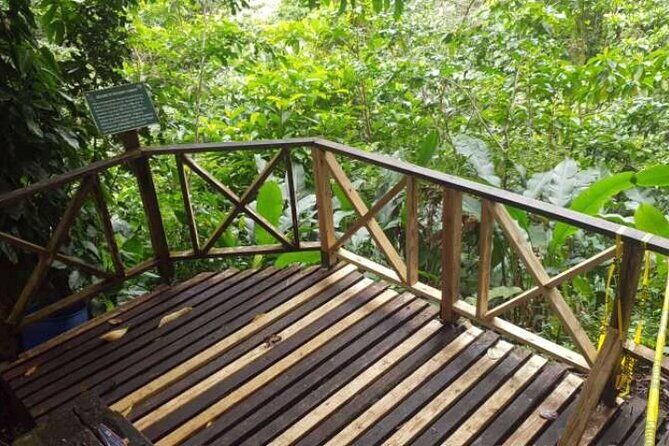 Vermont Nature Trail Tour - Good To Know