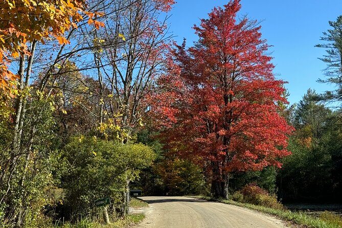 Vermont Wayfinders Fall Foliage Private Tour - Who Should Consider This Tour?
