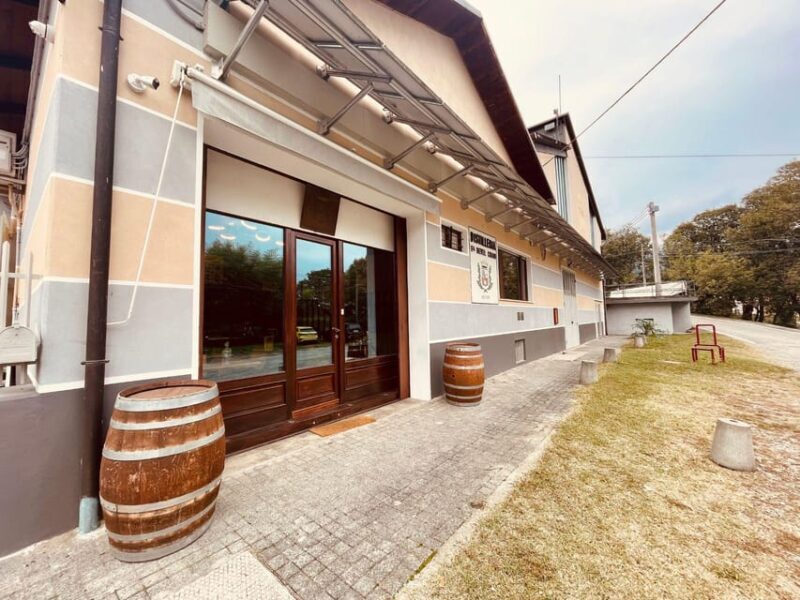 Vermouth and Spirits Tasting in a Distillery near Turin - Good To Know