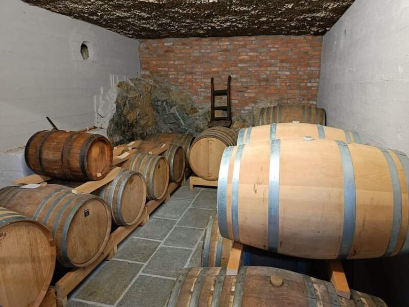 Vermouth and Spirits Tasting in a Distillery near Turin - Who Will Love This Tour?