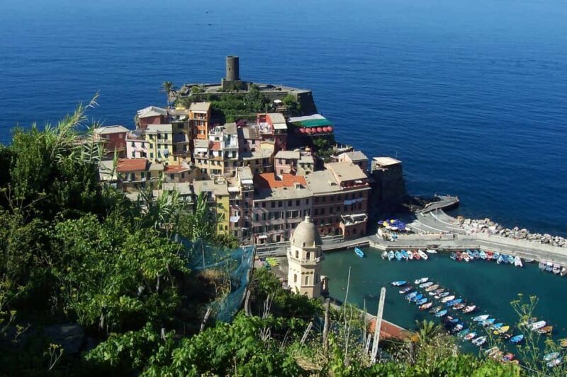 Vernazza (5 Terre): olive grove tour and oil and wine tasting - Good To Know