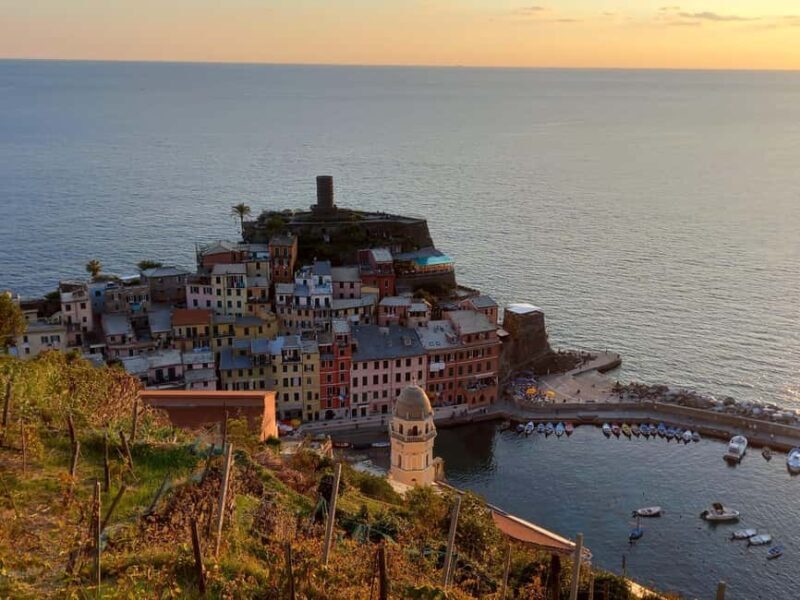 Vernazza (5 Terre): olive grove tour and oil and wine tasting - A Closer Look at the Olive Grove and Scenic Hike in Vernazza