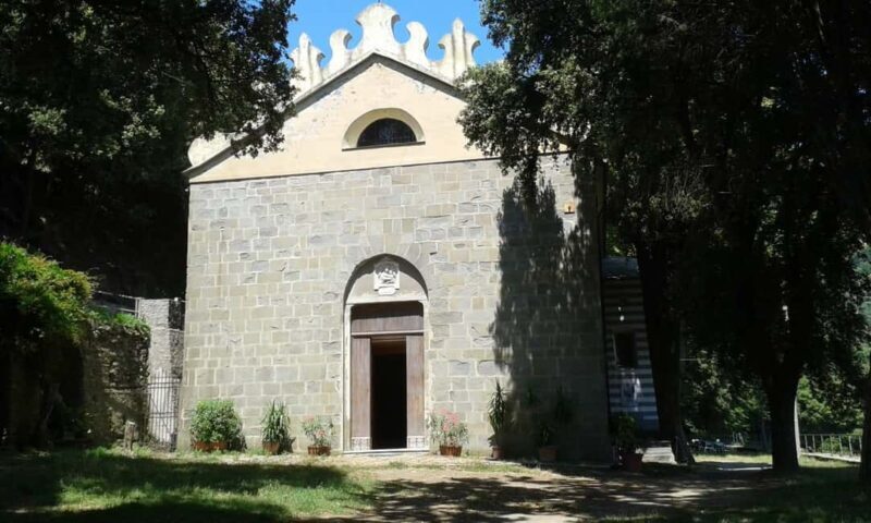 Vernazza (5 Terre): olive grove tour and oil and wine tasting - FAQ