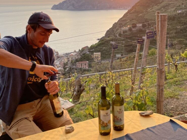 Vernazza: Panoramic Vineyard Trekking Tour W/ Wine Tasting - Activity Details