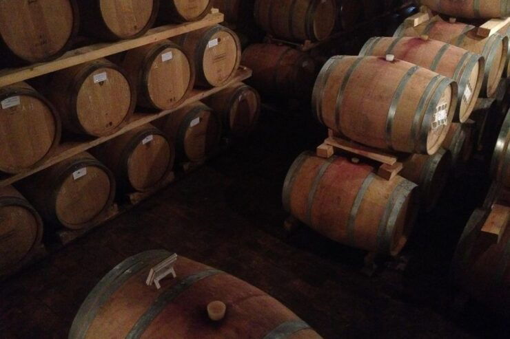 Verona: Amarone Countryside E-Bike Tour and Wine Tasting - Tour Duration and Details