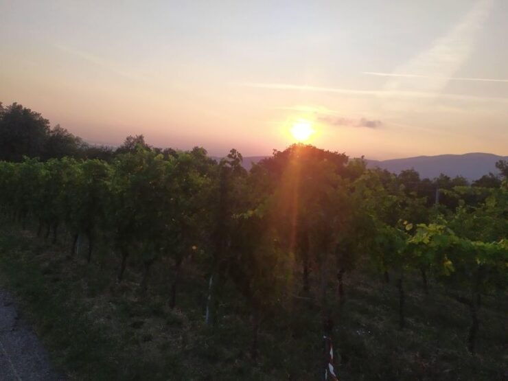 Verona Best Trekking Best View - Overview