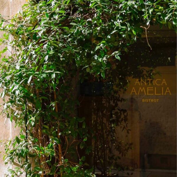 Verona: Cooking Class With Chef Micol Zorzella - Inclusions and Whats Provided