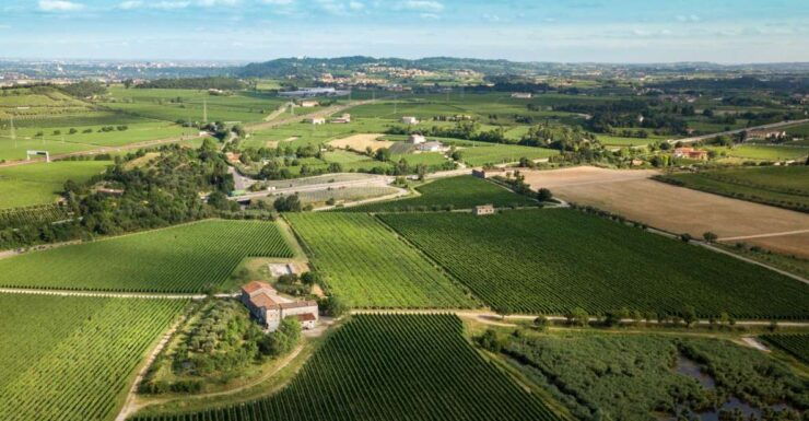 Verona: Custoza E-bike Tour - Booking Information