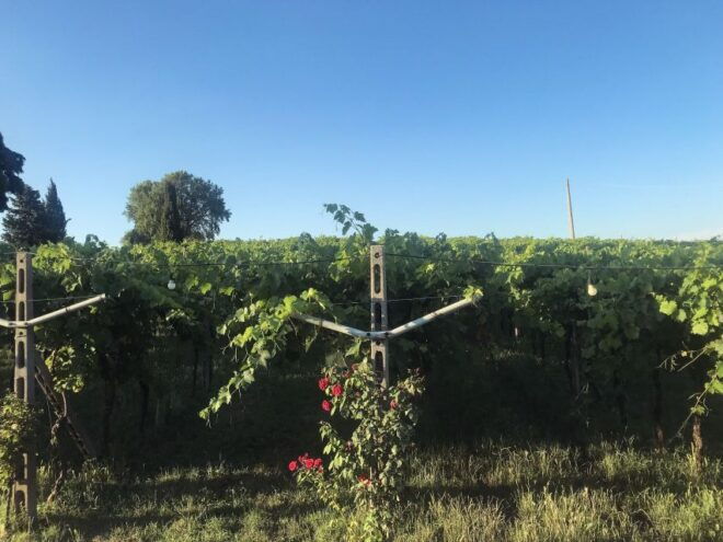 Verona: Custoza E-bike Tour - Customer Reviews