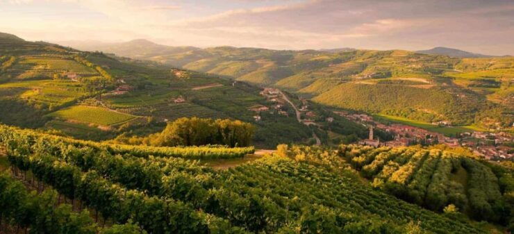 Verona: Food and Wine Tasting Tour - Booking Details