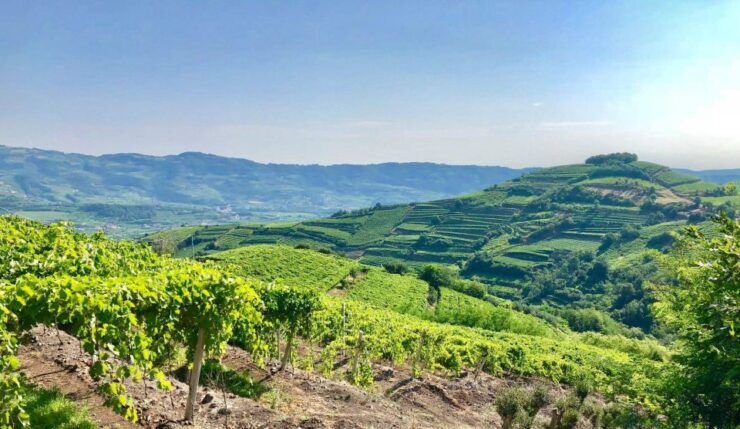 Verona: Food and Wine Tasting Tour - Meeting Point Details