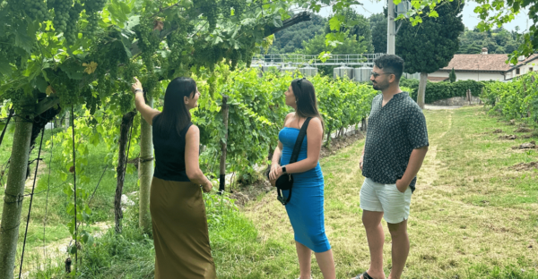 Verona: Valpolicella and Amarone Wine Tour With Light Lunch! - Participant Restrictions