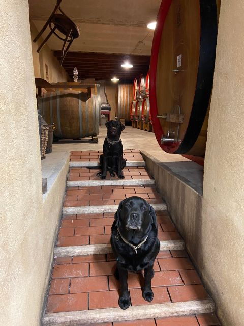 Verona: Wine Tasting in the Winerys Courtyard - The Sum Up