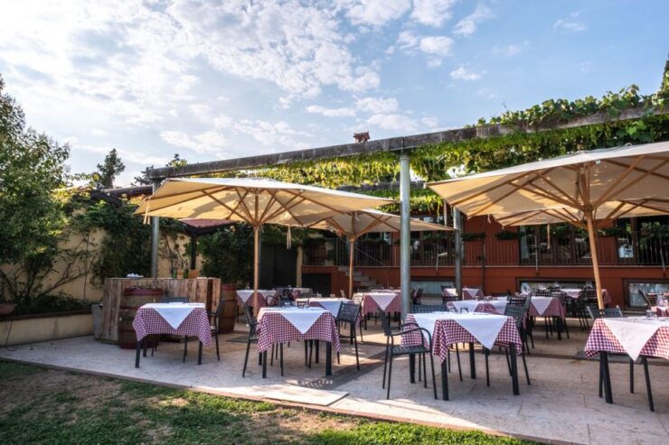 Verona: Wine Tasting With Snacks and Panoramic City Views - Activity Details