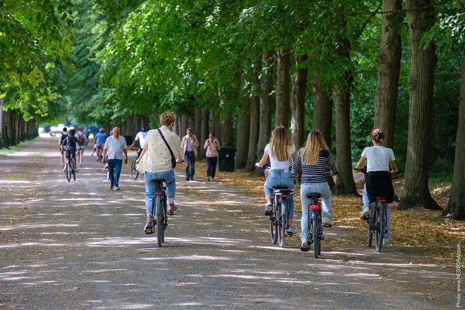 Versailles: Bike Rental, Different Sizes - Bike Rental Options