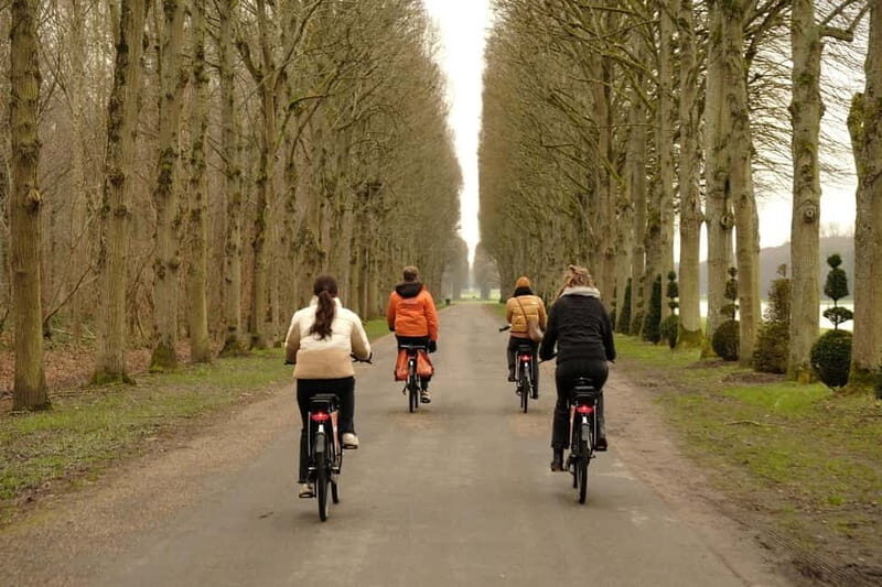 Versailles: Bike Tour on a premium Dutch bike - Practical Tips and Considerations