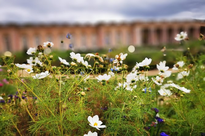 Versailles Full Day Private Guided Tour With Hotel Pickup - Reviews and Ratings