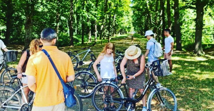 Versailles Golfcart & Bike (Optional) Tour With Palace Entry - Activity Details and Booking Information