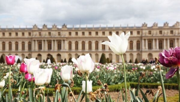 Versailles: Guided Palace Tour With Gardens Access - The Sum Up