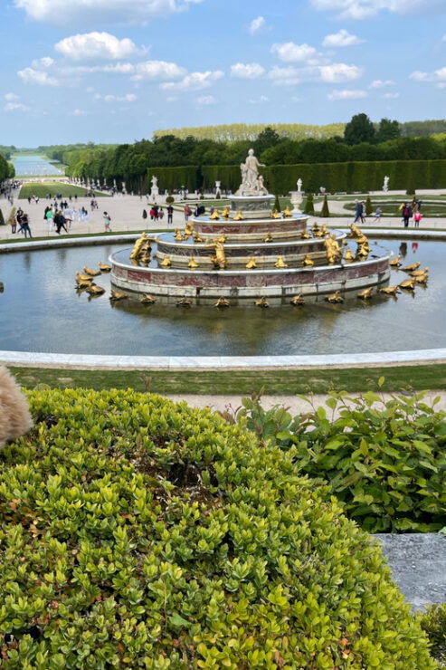 Versailles Half-day Private Tour by Comfort Car - Itinerary Details