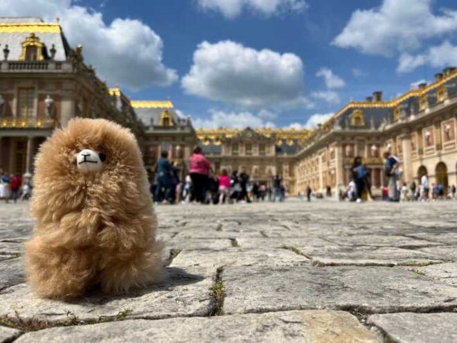Versailles Half-day Private Tour by Comfort Car - Tour Highlights