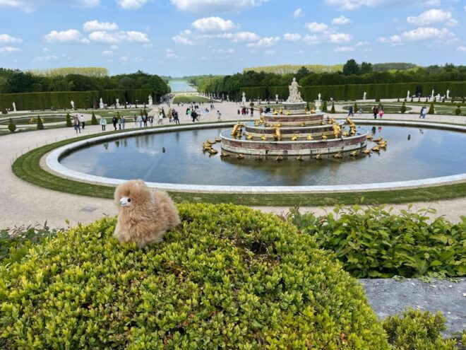 Versailles Half-day Private Tour by Comfort Car - Languages Available